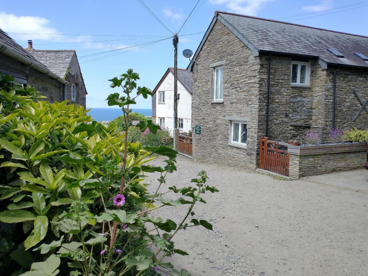 Willa The Mill Tintagel Zewnętrze zdjęcie