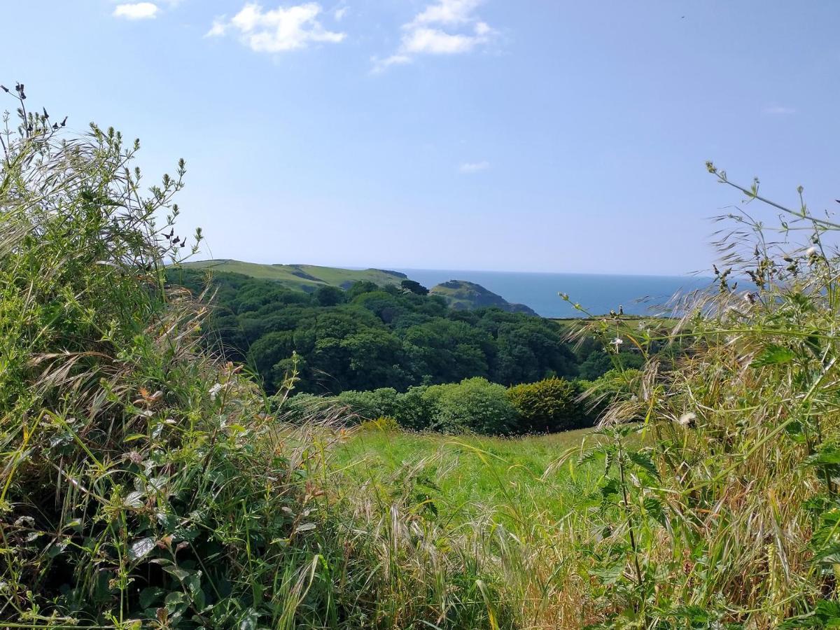 Willa The Mill Tintagel Zewnętrze zdjęcie